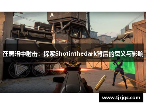 在黑暗中射击：探索Shotinthedark背后的意义与影响